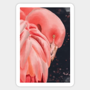 flamingo portrait Sticker